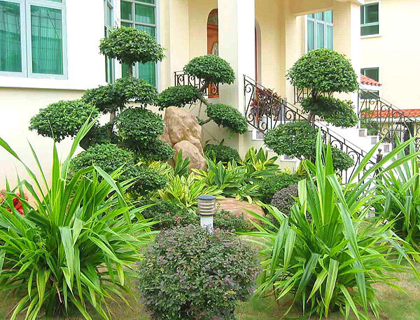 園林綠化設(shè)計公司應(yīng)遵循哪些地方性設(shè)計原則？