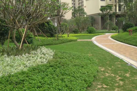 園林綠化設計中鋪裝的幾個表現(xiàn)要素！