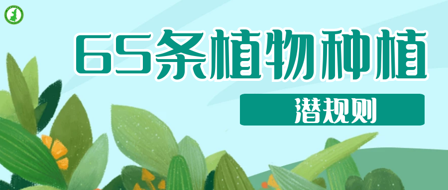 65條植物種植潛規(guī)則，園林人的血淚總結(jié) ！